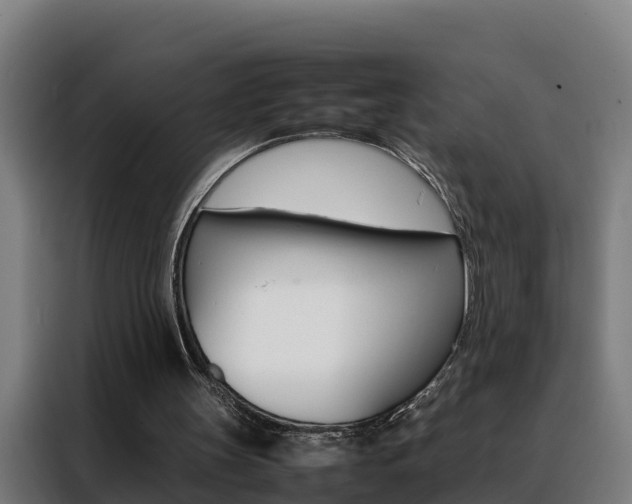 X0000088480147200705221008
