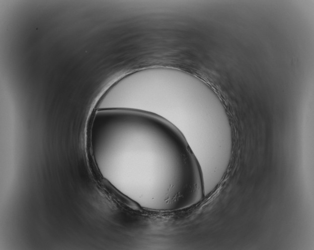 X0000088480148200705221008