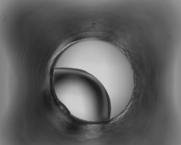 X0000088480150200705221008