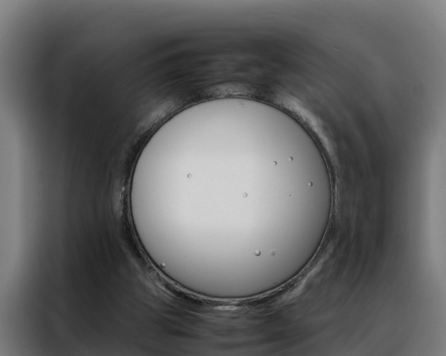 X0000088480153200705221008