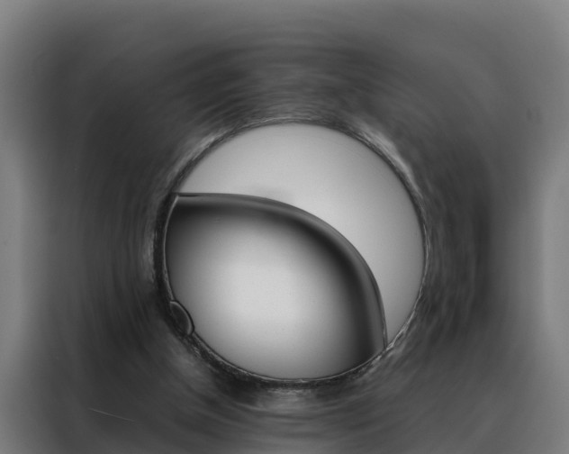 X0000088480154200705221008