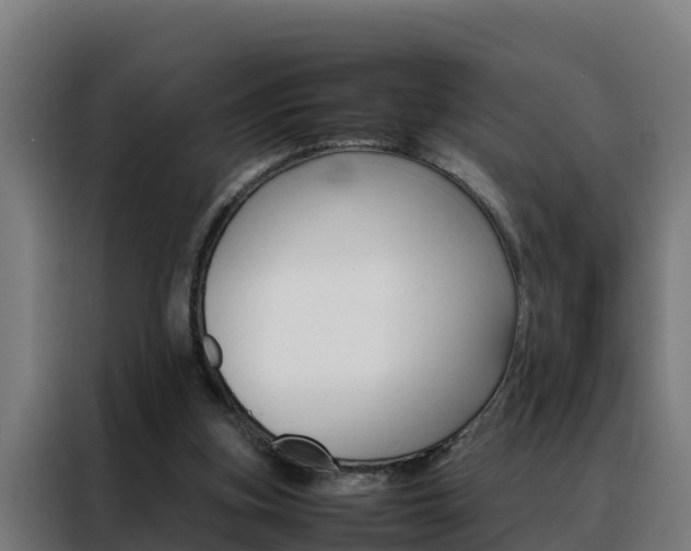 X0000088480155200705221008
