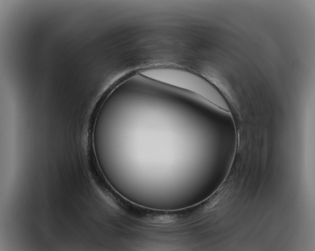 X0000088480156200705221008