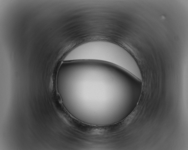 X0000088480158200705221008
