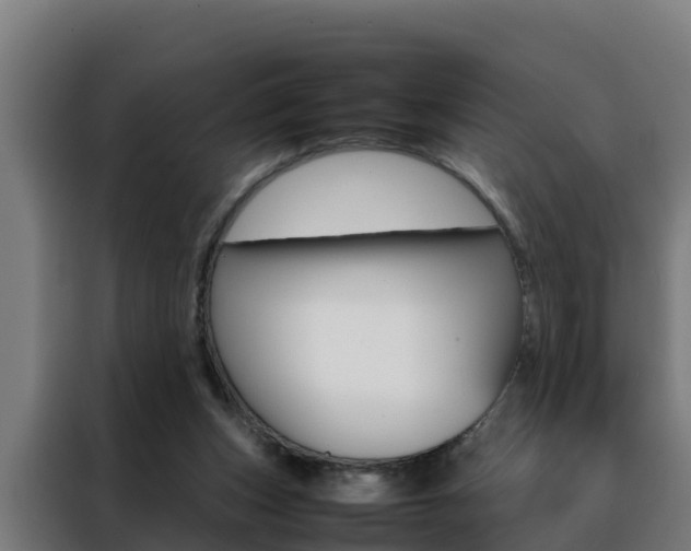 X0000088480159200705221008