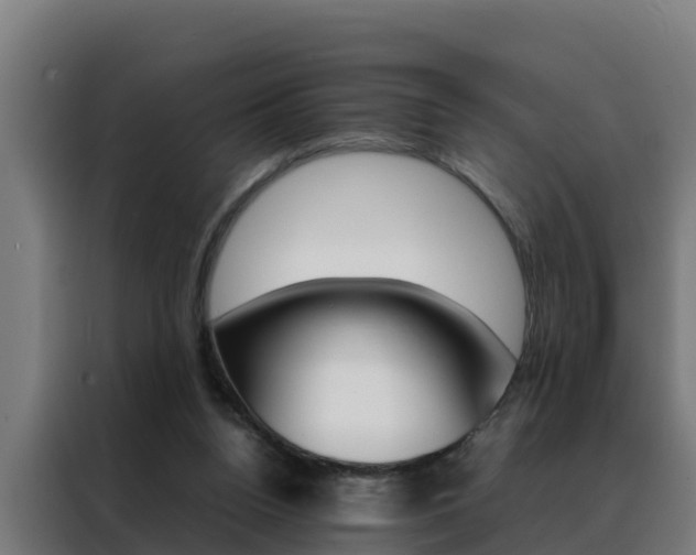 X0000088480160200705221008