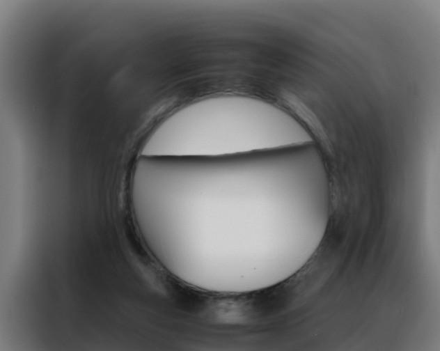 X0000088480163200705221008