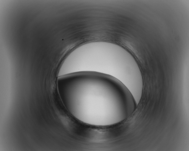 X0000088480164200705221008
