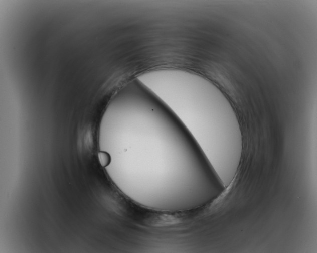 X0000088480166200705221008