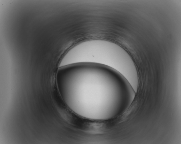 X0000088480168200705221008