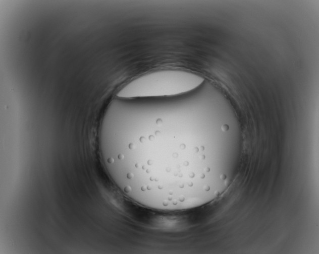 X0000088480171200705221008
