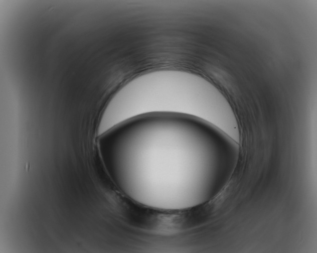 X0000088480172200705221008