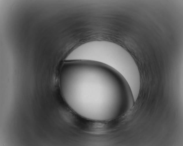 X0000088480176200705221008
