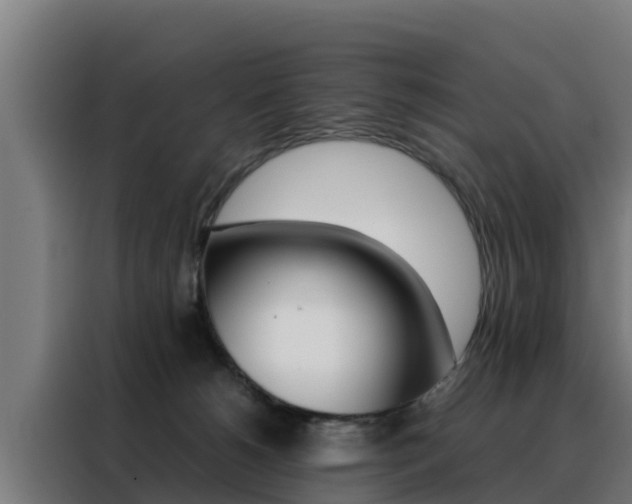 X0000088480180200705221009
