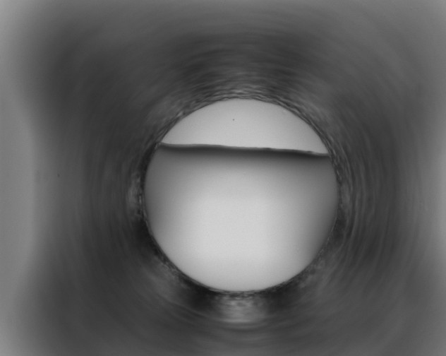 X0000088480181200705221009