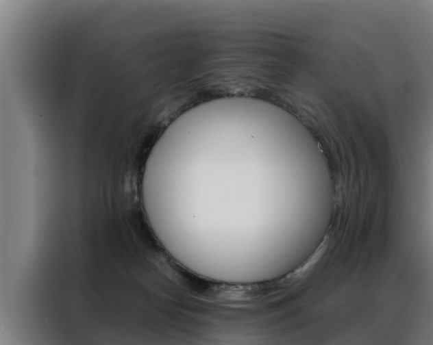 X0000088480182200705221009