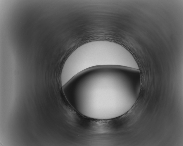 X0000088480184200705221009