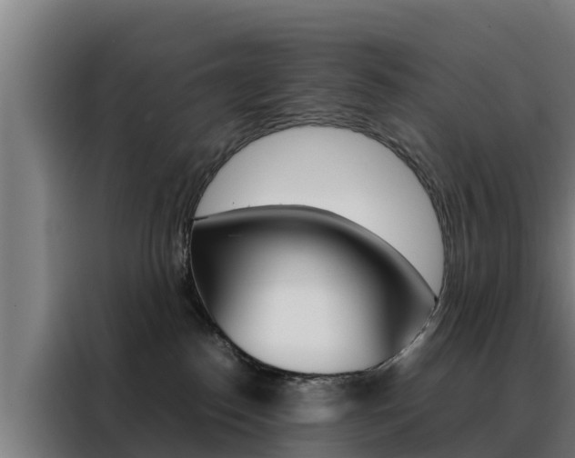 X0000088480186200705221009