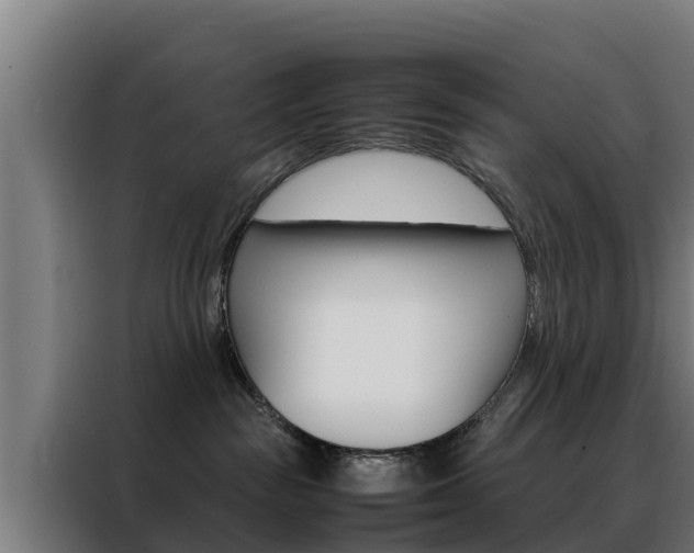 X0000088480189200705221009