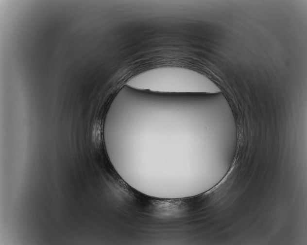 X0000088480191200705221009
