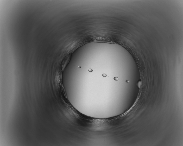 X0000088480192200705221009