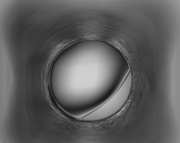 X0000088480193200705221008