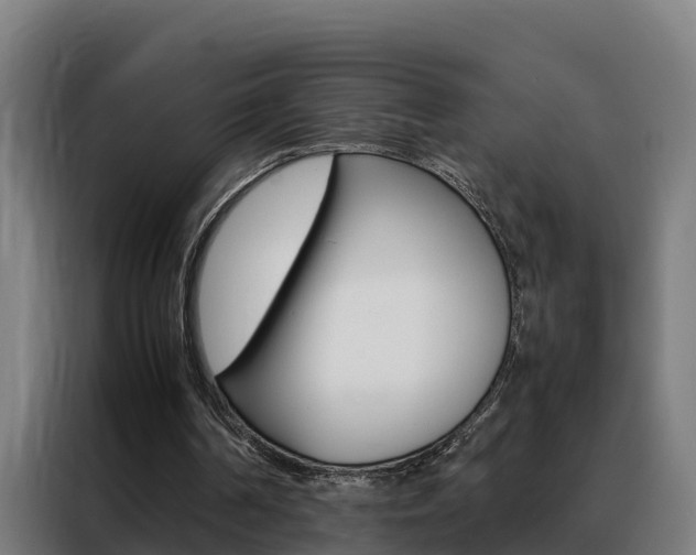 X0000088480194200705221008