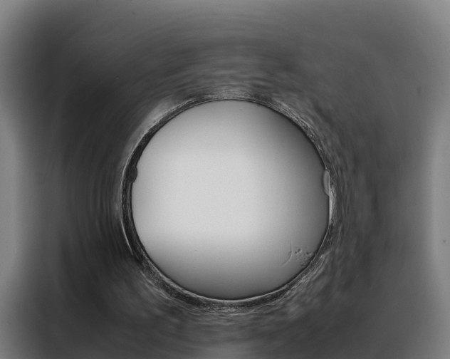 X0000088480195200705221008