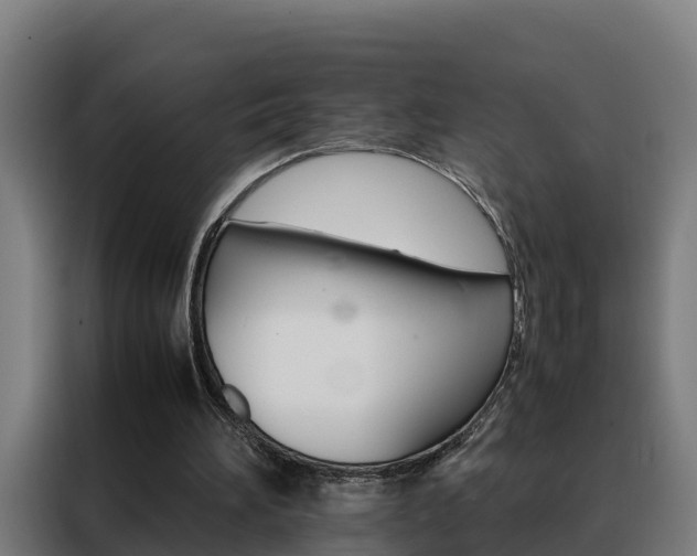 X0000088480196200705221008