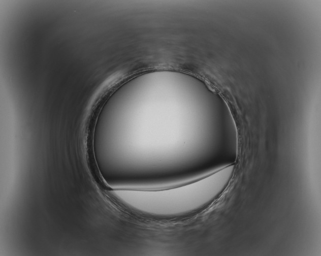 X0000088480197200705221008