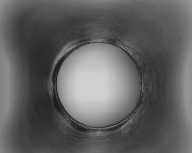 X0000088480198200705221008