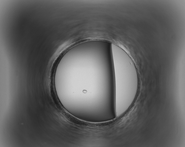 X0000088480199200705221008