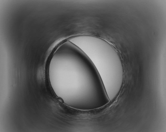 X0000088480200200705221008