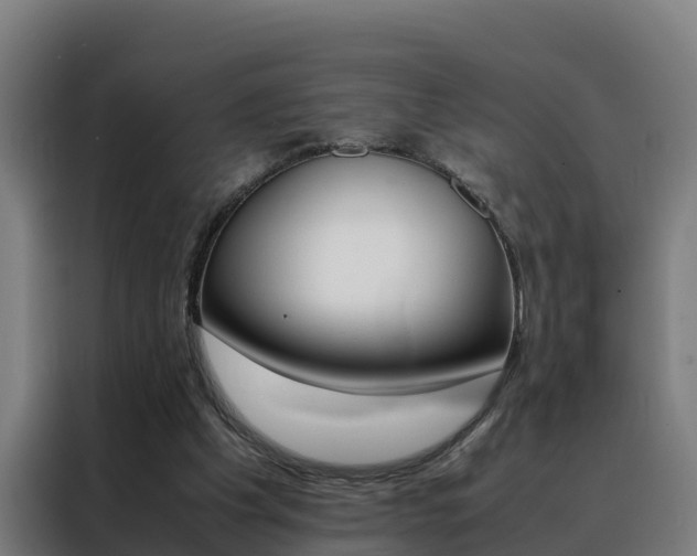X0000088480201200705221008