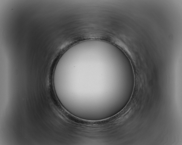 X0000088480203200705221008