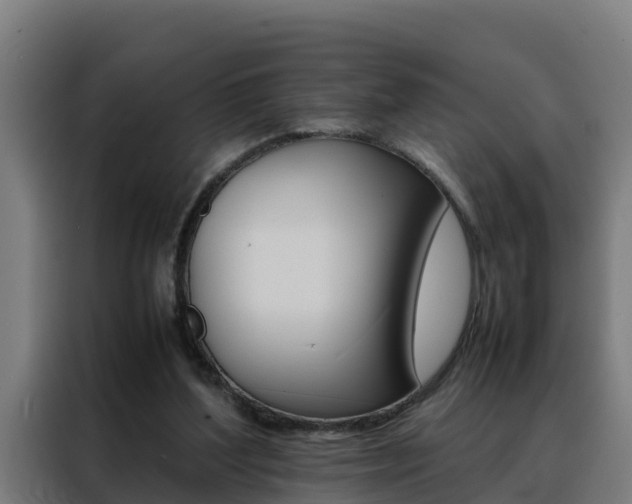 X0000088480204200705221008