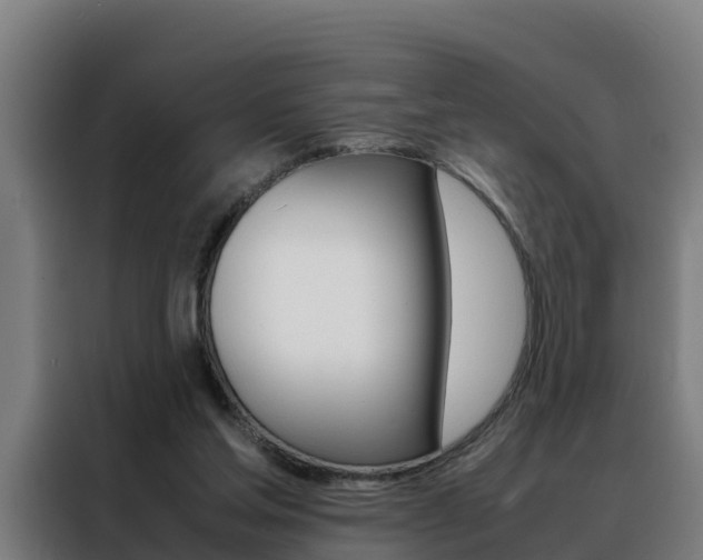 X0000088480205200705221008