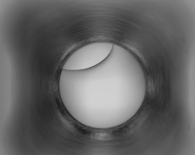 X0000088480208200705221008