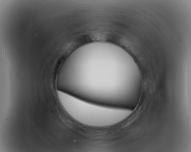 X0000088480209200705221008