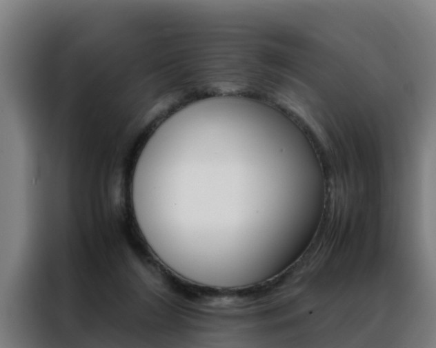X0000088480212200705221008
