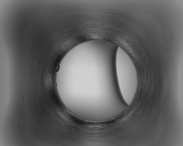 X0000088480213200705221008