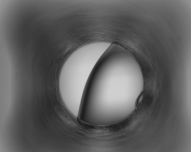 X0000088480215200705221008