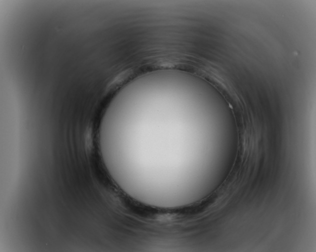 X0000088480216200705221008