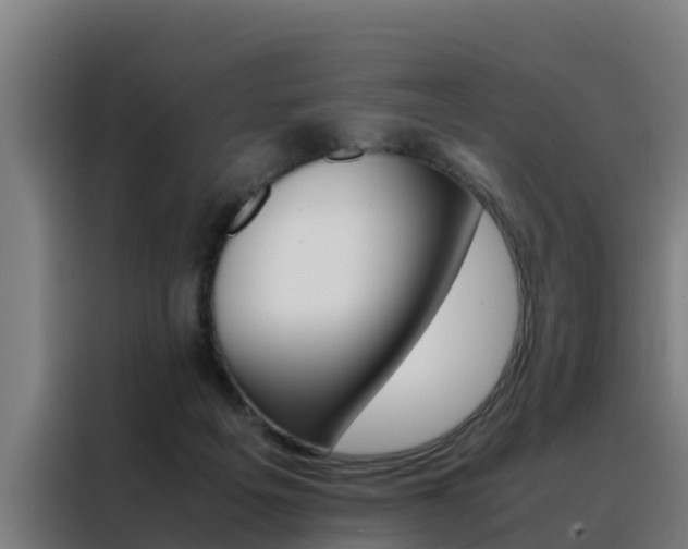 X0000088480217200705221008