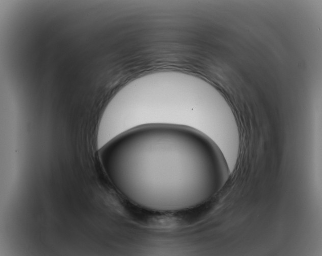X0000088480219200705221008