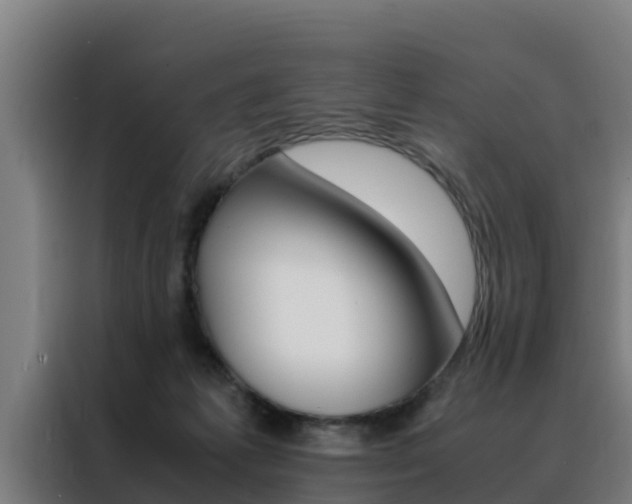X0000088480221200705221008
