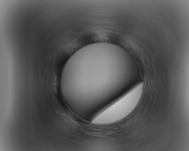 X0000088480223200705221008