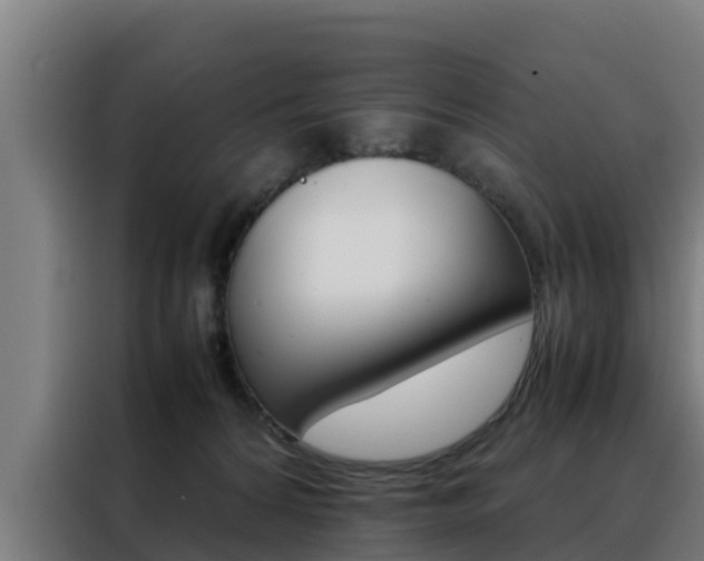 X0000088480224200705221008