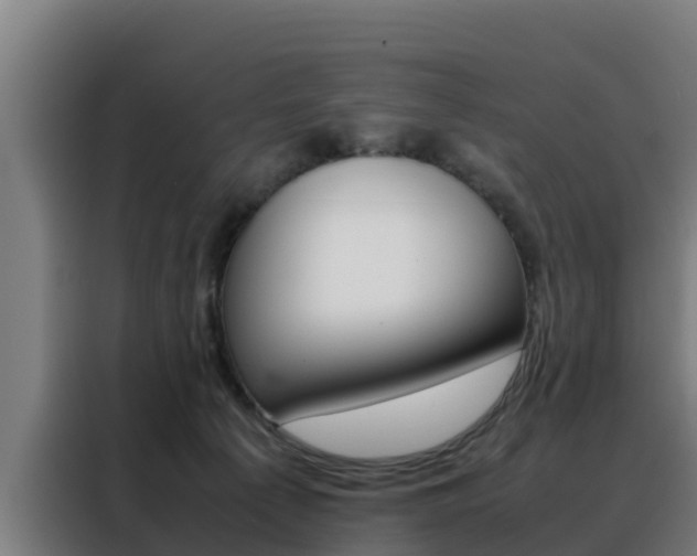 X0000088480225200705221008