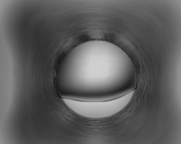 X0000088480229200705221008